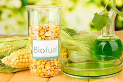 Clodock biofuel availability